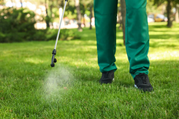 Best Best Pest Control Companies  in Wappingers Falls, NY