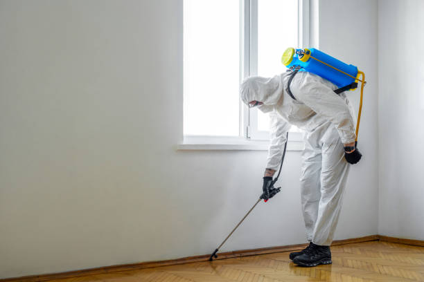 Best Flea Control Services  in Wappingers Falls, NY