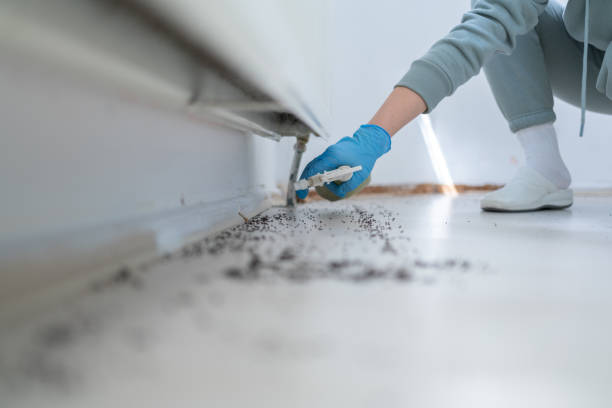 Best Wasp Removal Services  in Wappingers Falls, NY