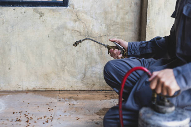 Best Mosquito Control Services  in Wappingers Falls, NY